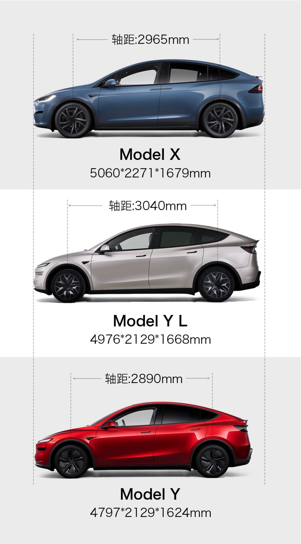 New Model YL size comparison